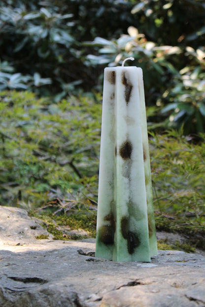 Wealth and Abundance