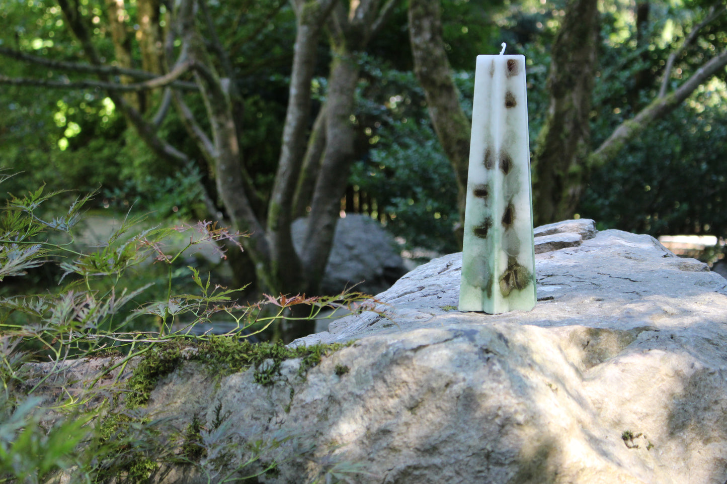 Wealth and Abundance