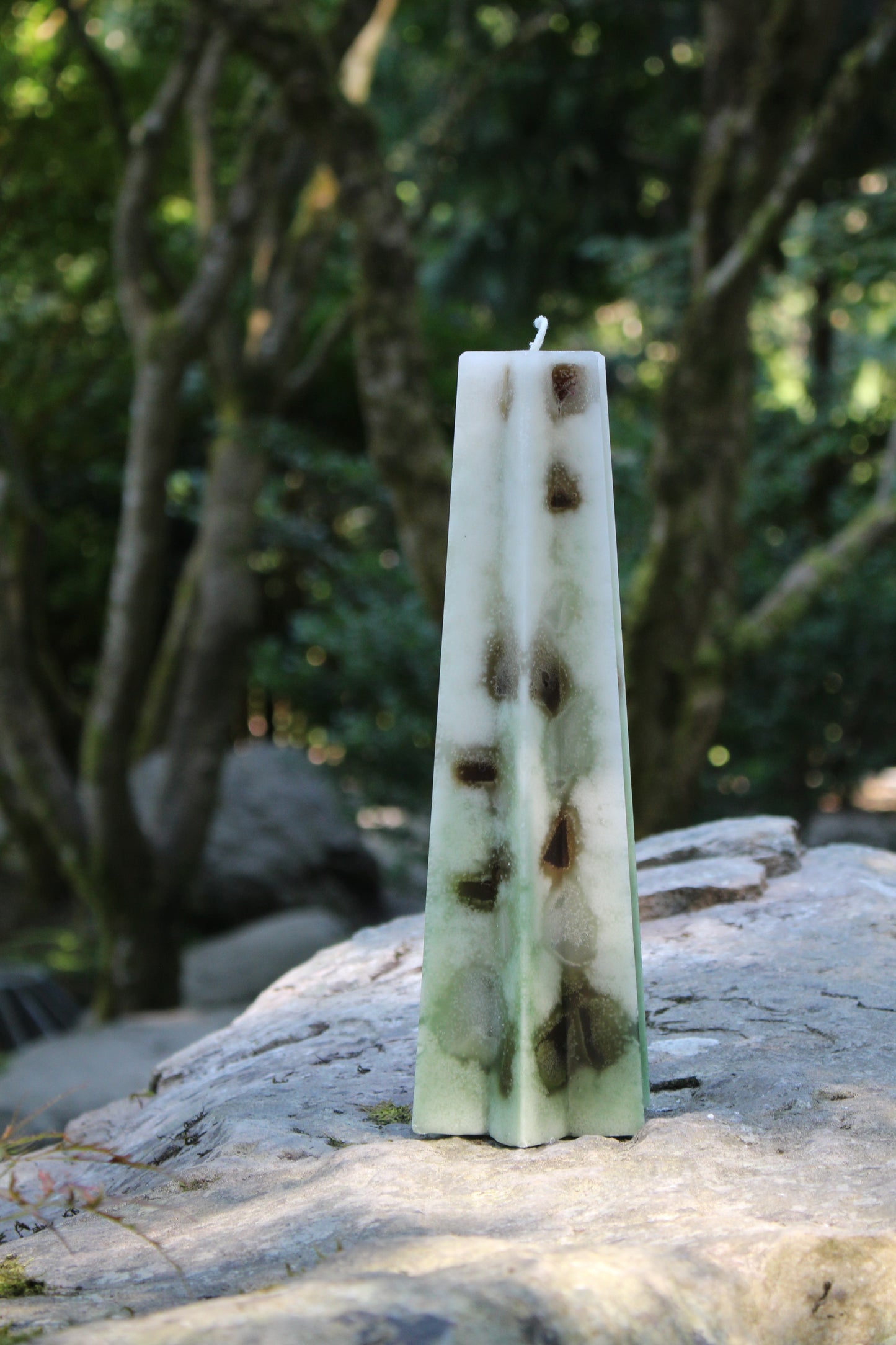 Wealth and Abundance