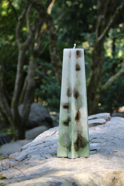 Wealth and Abundance